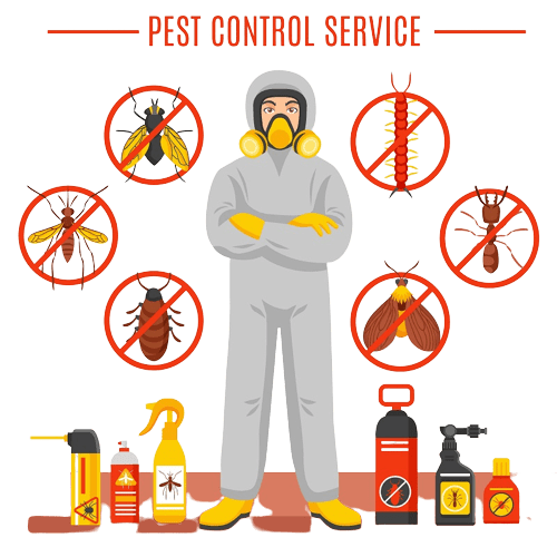 pest control Services in Kurnool