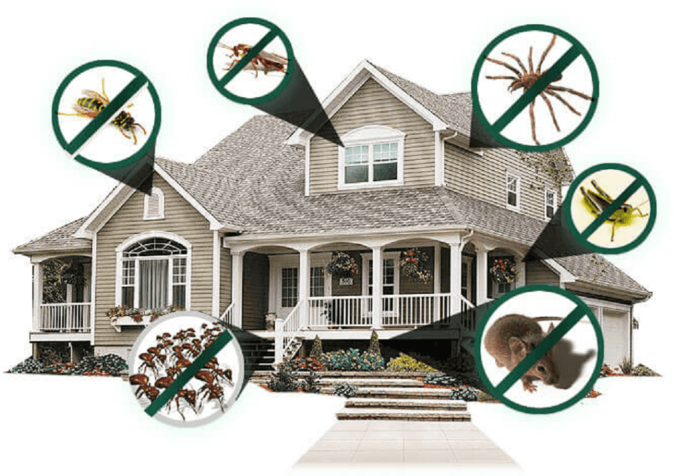 Residential Pest Control